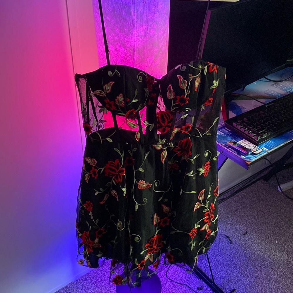 Flower embroidered mini dress with see through panels